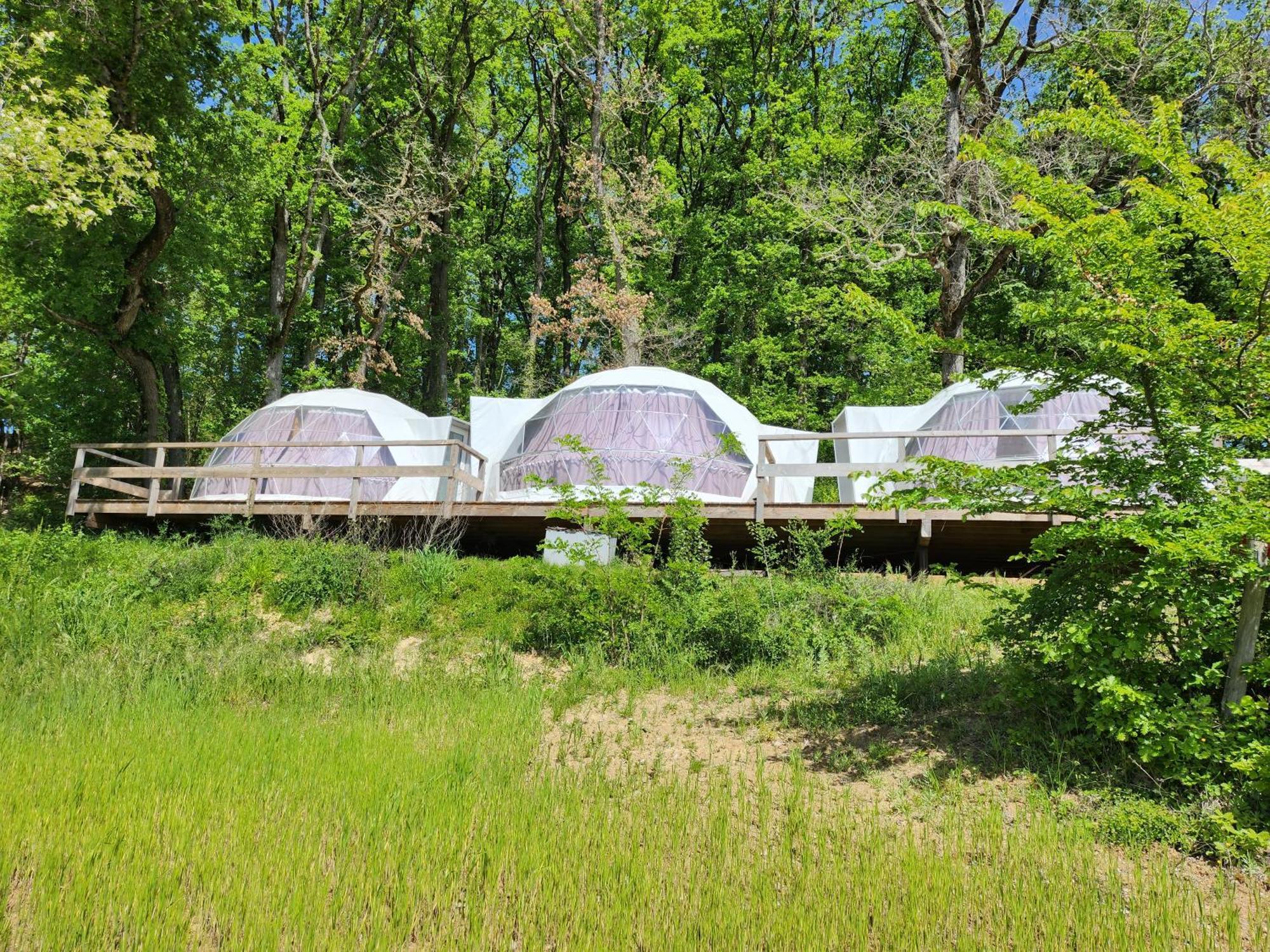 Domaine De Massoulac Molières Esterno foto