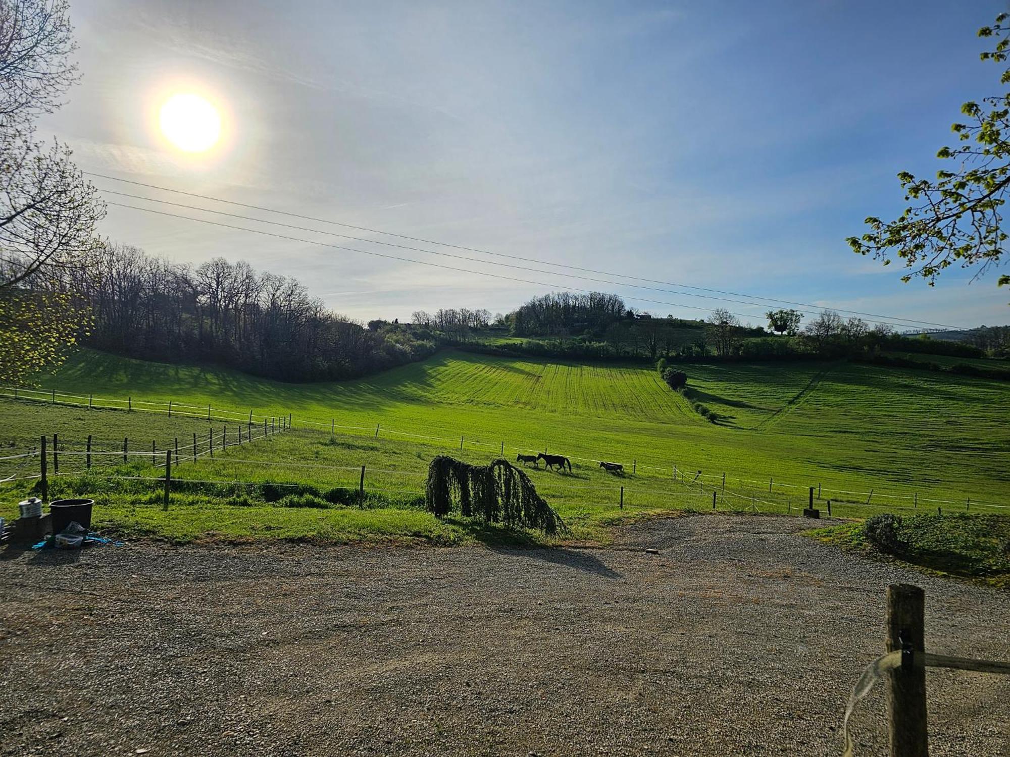 Domaine De Massoulac Molières Esterno foto