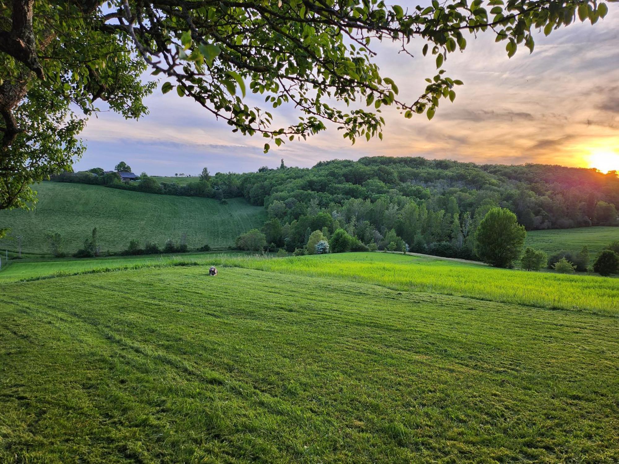 Domaine De Massoulac Molières Esterno foto